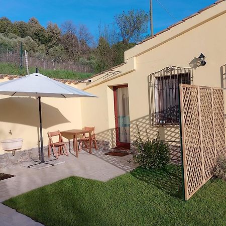 New! La Ginestra,Casa Vacanze Bifamiliare In Montagna-Seulo Sardegna Exterior foto