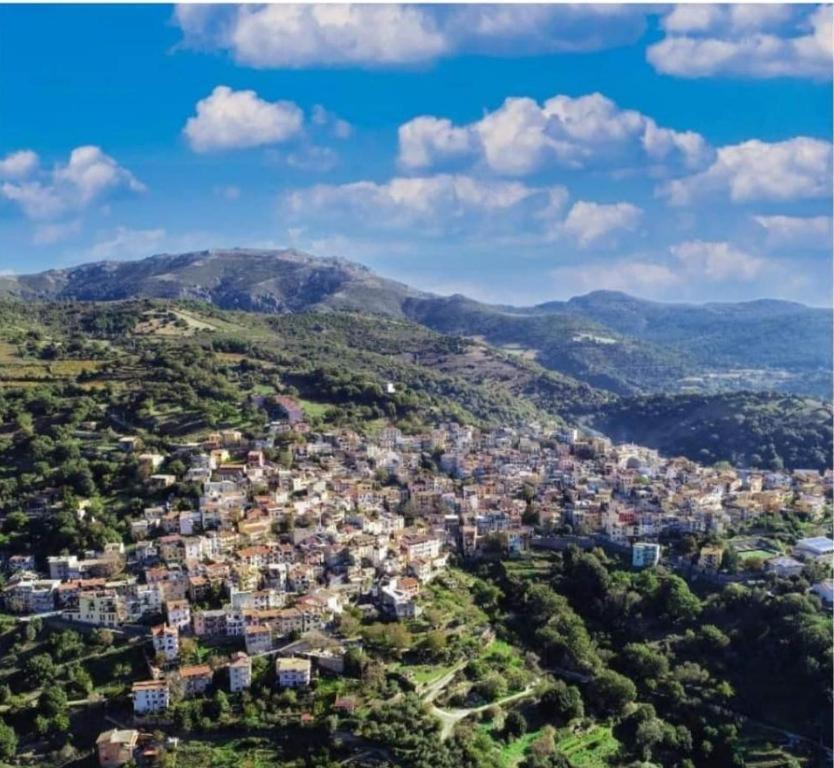 New! La Ginestra,Casa Vacanze Bifamiliare In Montagna-Seulo Sardegna Exterior foto
